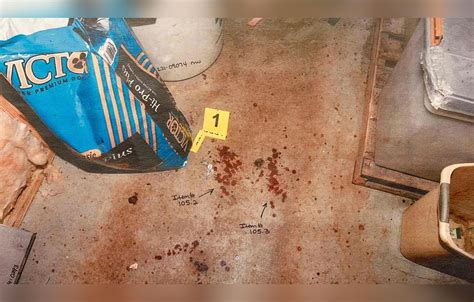 paul murdaugh leaked photos|Every Gruesome Crime Scene Photo Revealed In。